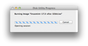 Disk utility working