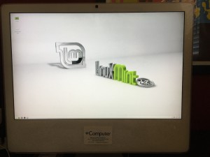 The Linux Mint live environment